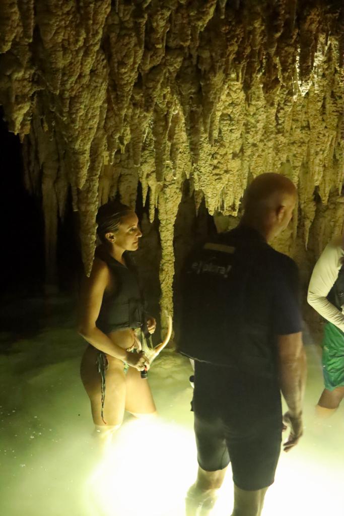 THE MAYAN UNDERWORLD