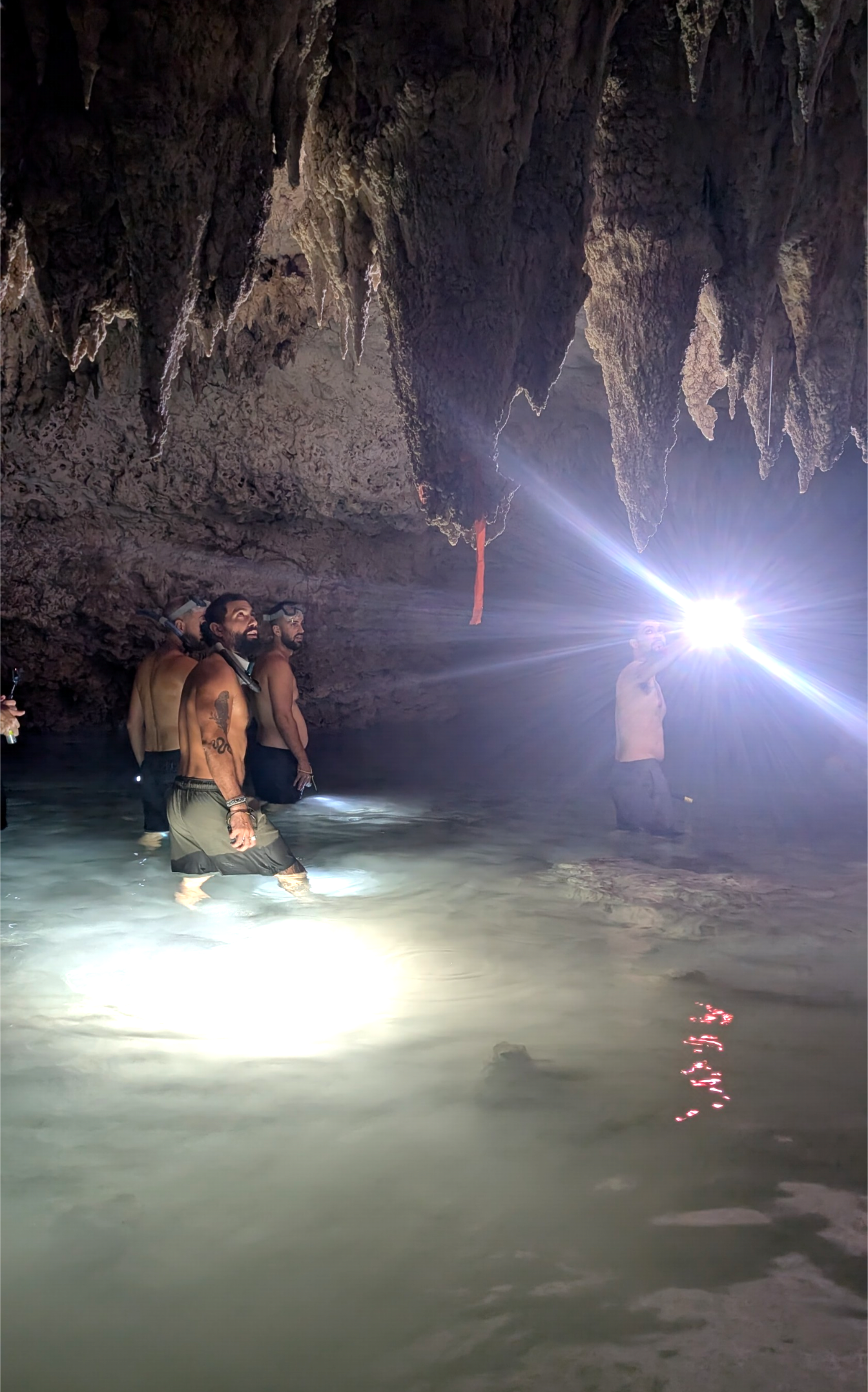 THE MAYAN UNDERWORLD
