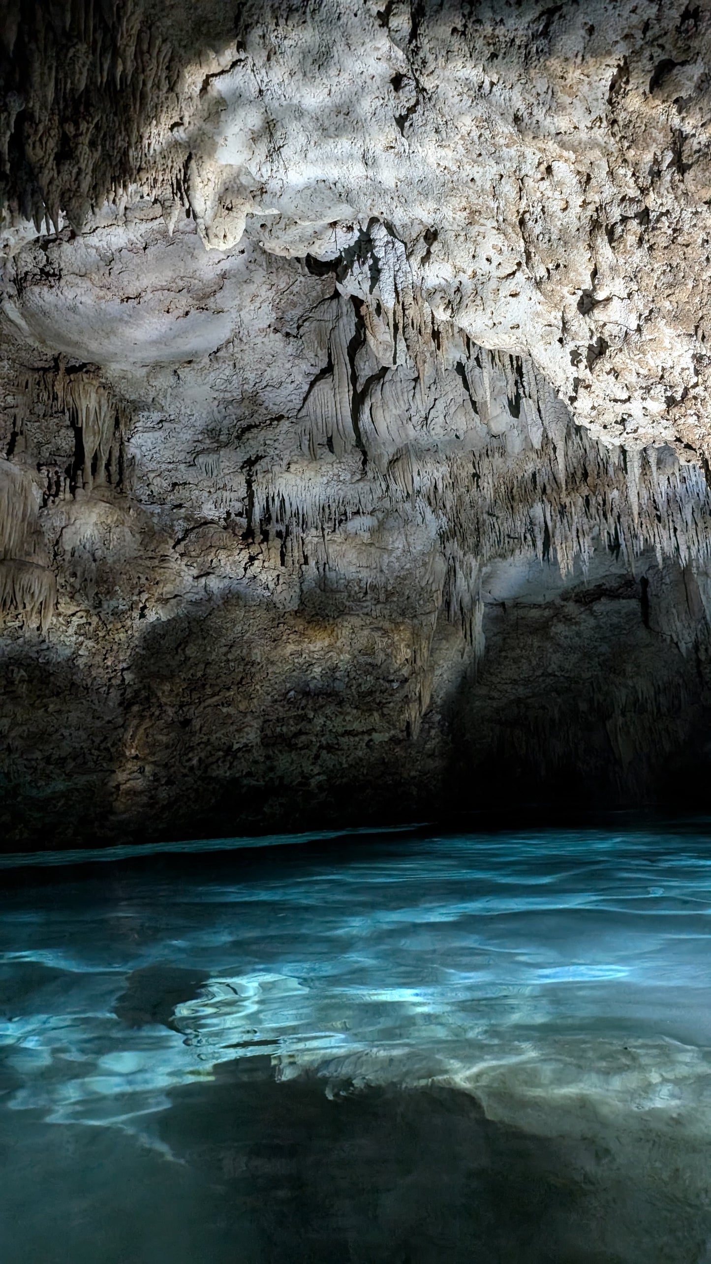 THE MAYAN UNDERWORLD