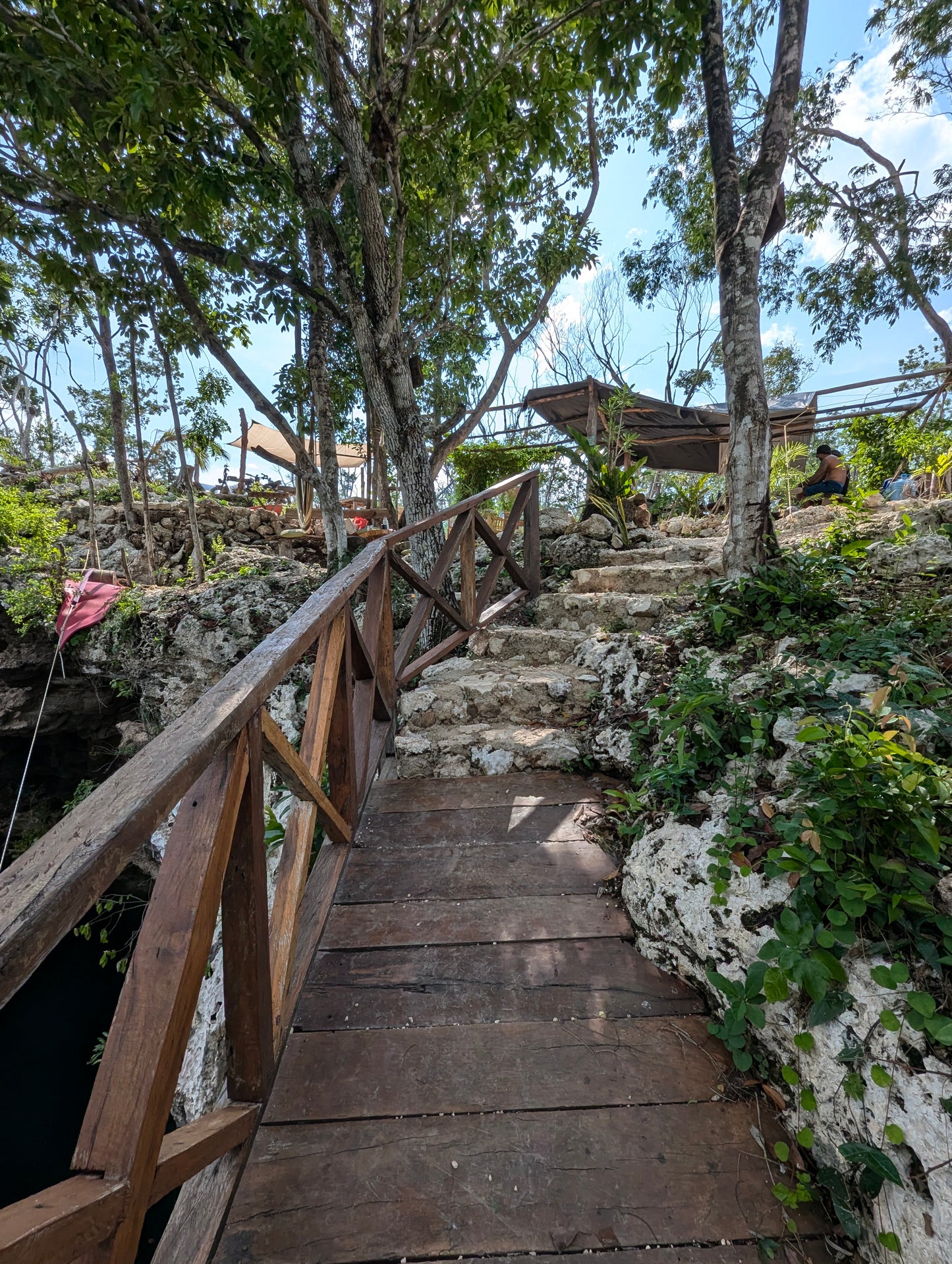 DIVE INTO THE JUNGLE WITH OUR E-BiKE TOUR A 300 FOOTER CENOTE