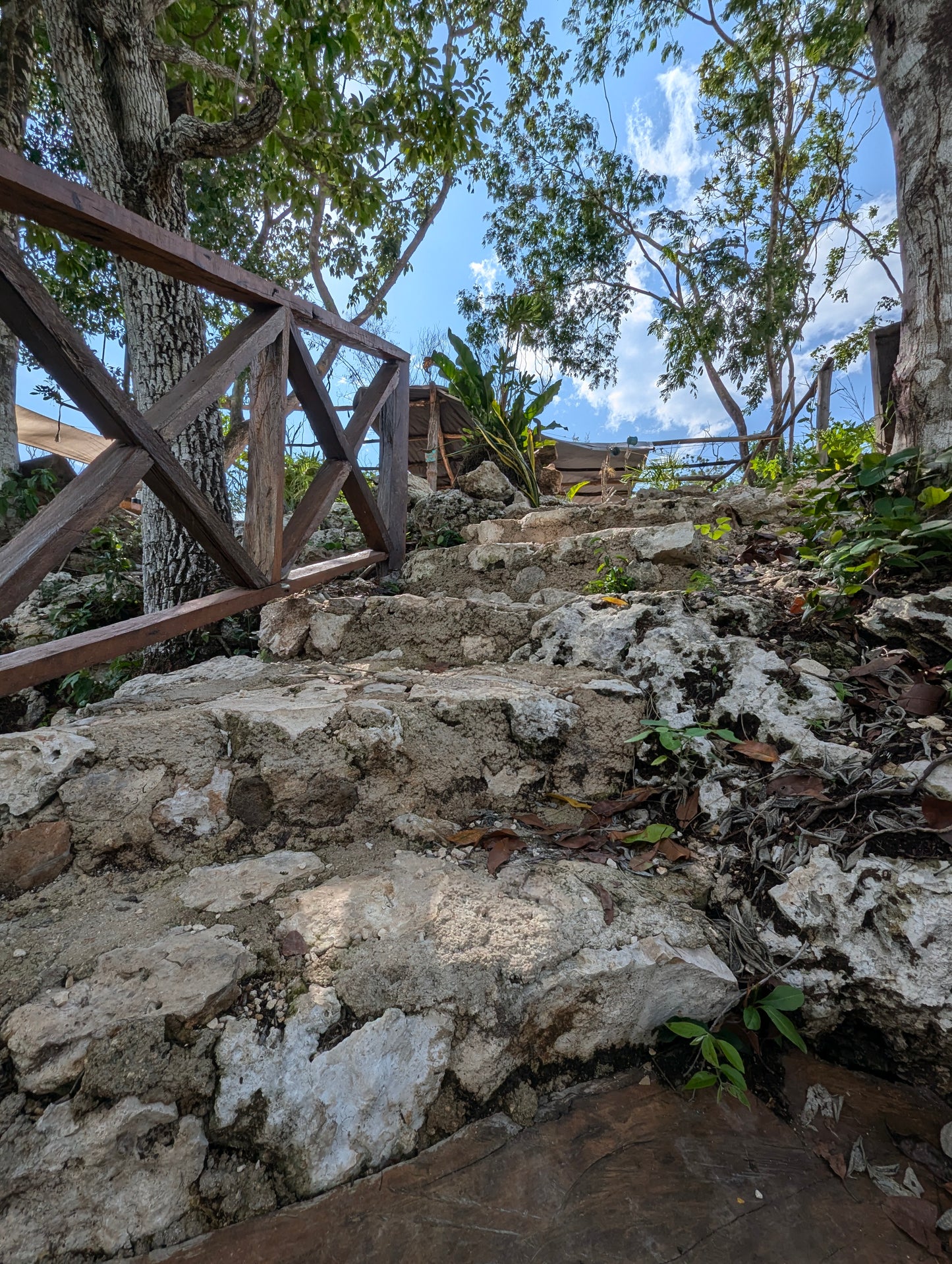 DIVE INTO THE JUNGLE WITH OUR E-BiKE TOUR A 300 FOOTER CENOTE