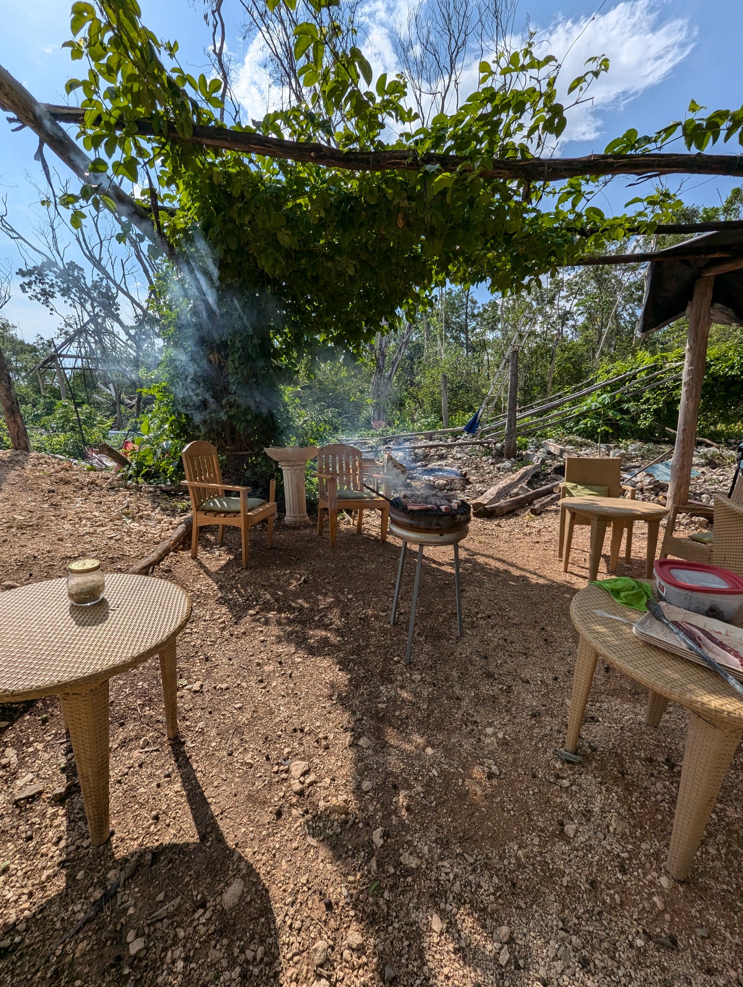 DIVE INTO THE JUNGLE WITH OUR E-BiKE TOUR A 300 FOOTER CENOTE