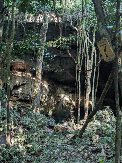 E-BIKE TOUR TO HIDDEN CENOTE  (STARTING OFF DOWNTOWN PLAYA DEL CARMEN)