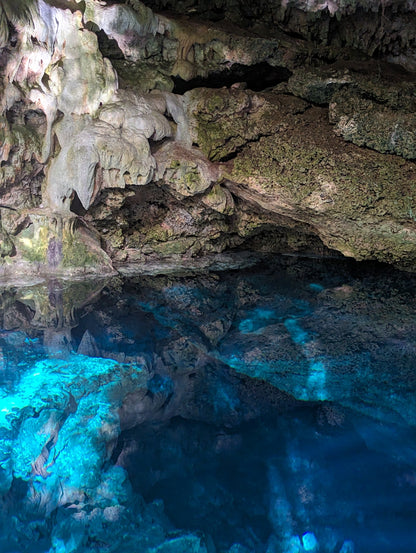 E-BIKE TOUR TO HIDDEN CENOTE  (STARTING OFF DOWNTOWN PLAYA DEL CARMEN)