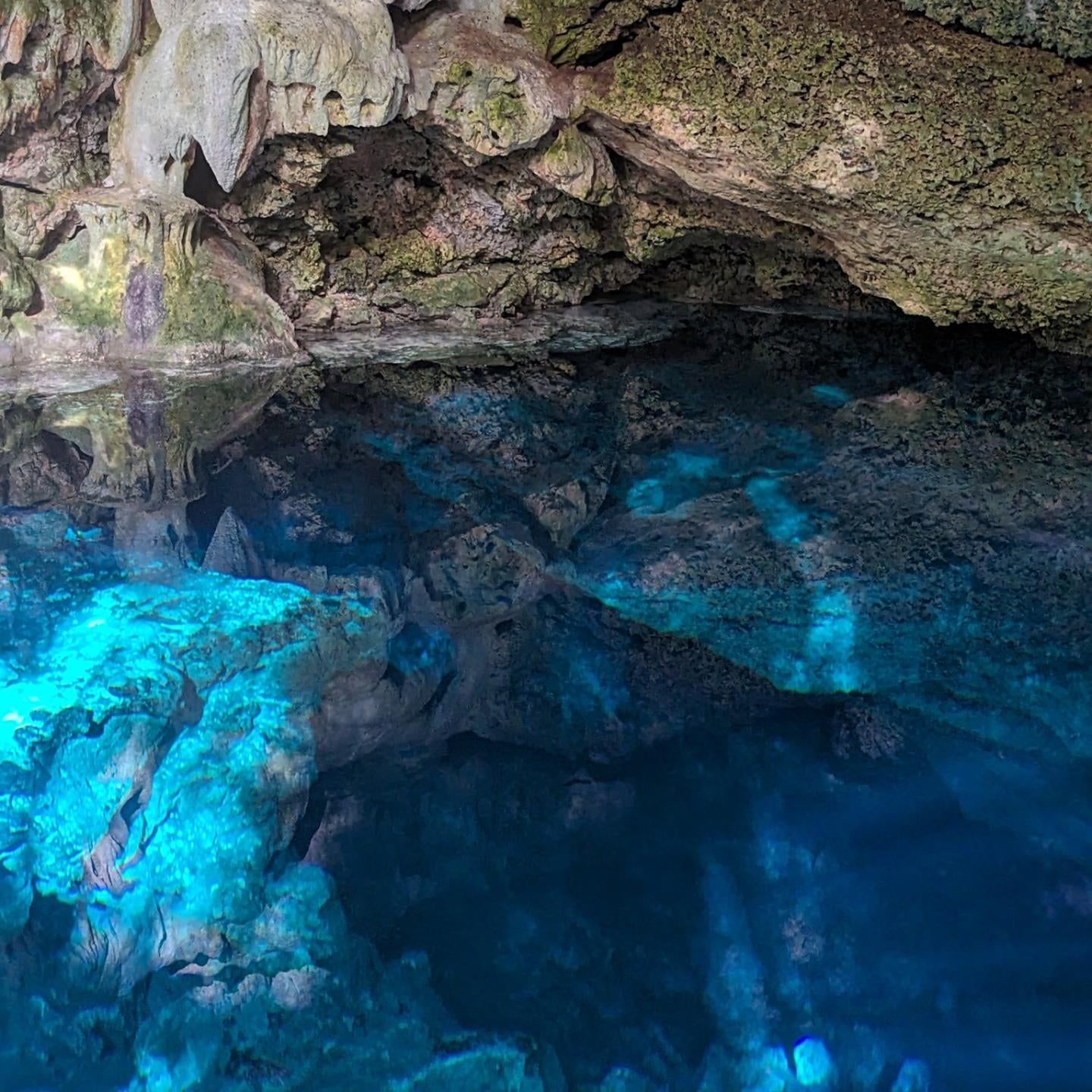 E-BIKE TOUR TO HIDDEN CENOTE  (STARTING OFF DOWNTOWN PLAYA DEL CARMEN)