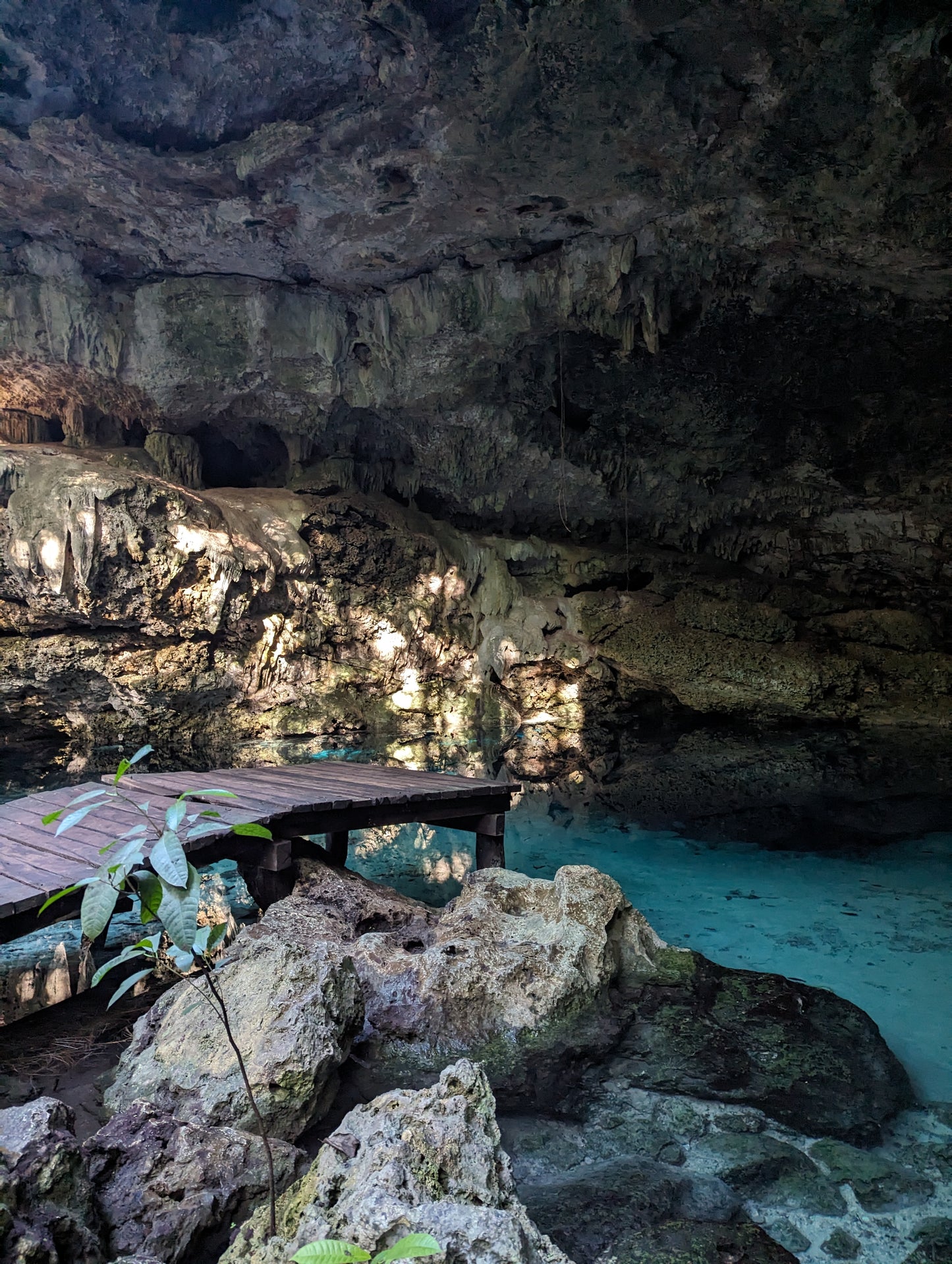 E-BIKE TOUR TO HIDDEN CENOTE  (STARTING OFF DOWNTOWN PLAYA DEL CARMEN)