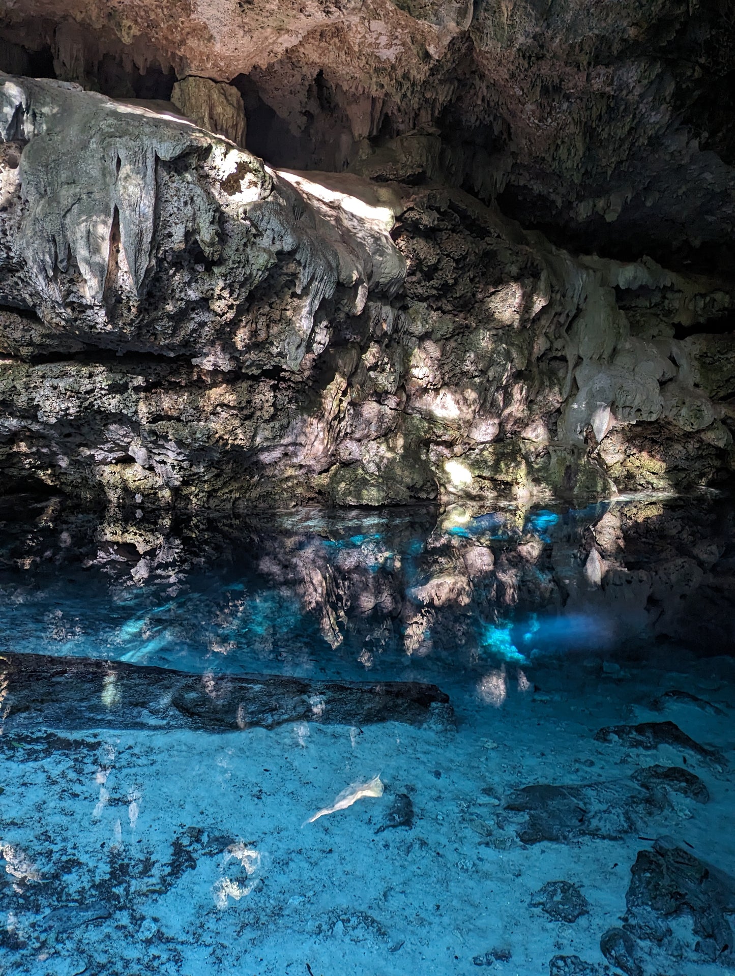 E-BIKE TOUR TO HIDDEN CENOTE  (STARTING OFF DOWNTOWN PLAYA DEL CARMEN)