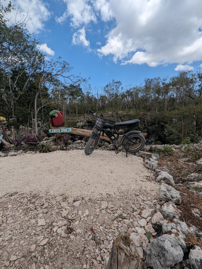 DIVE INTO THE JUNGLE WITH OUR E-BiKE TOUR A 300 FOOTER CENOTE