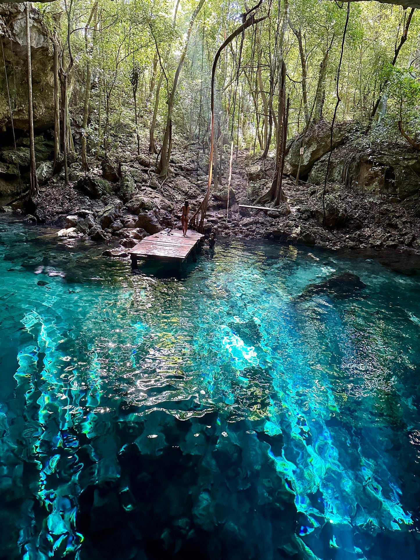 E-BIKE TOUR TO HIDDEN CENOTE  (STARTING OFF DOWNTOWN PLAYA DEL CARMEN)