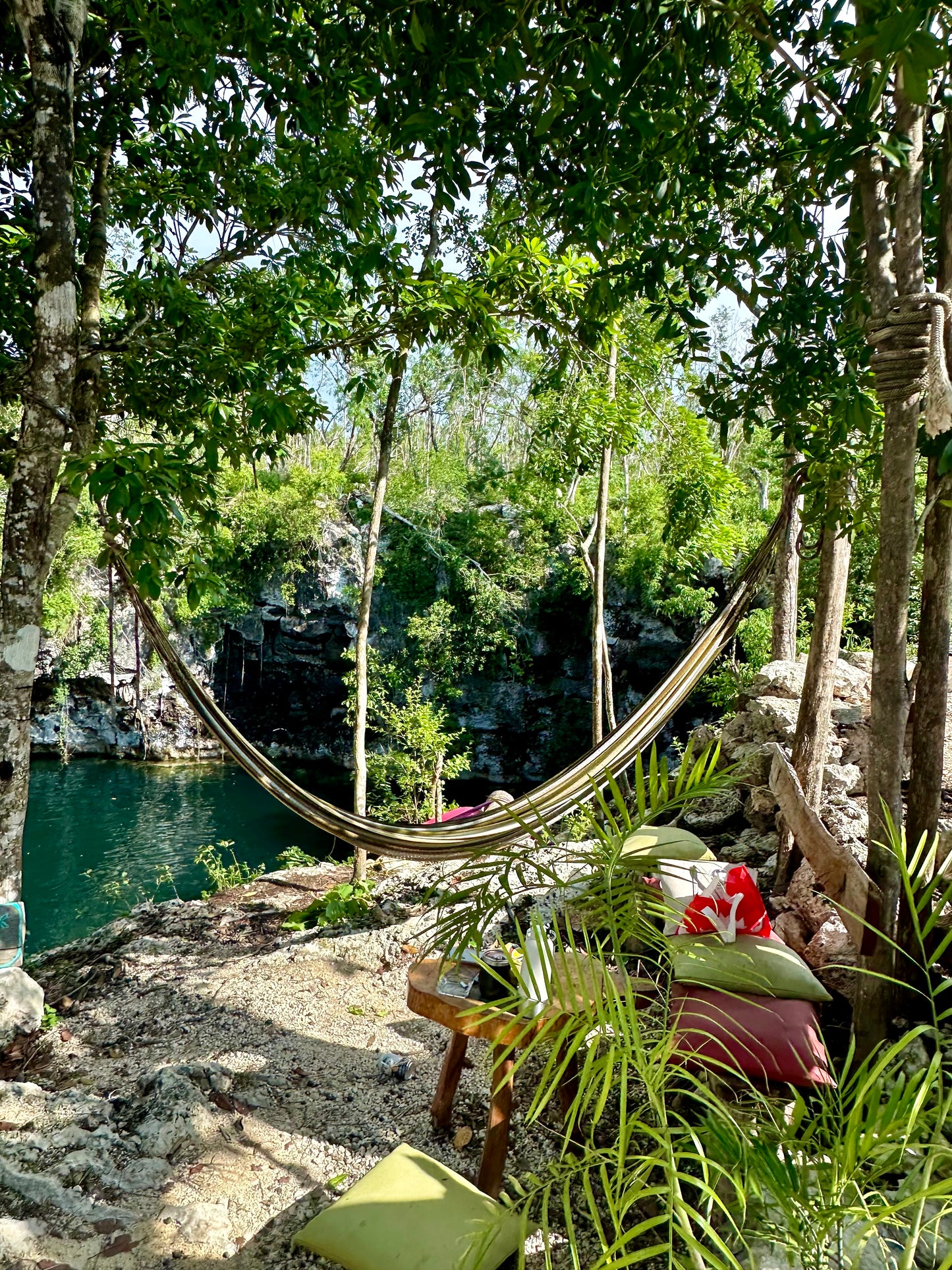 DIVE INTO THE JUNGLE WITH OUR E-BiKE TOUR A 300 FOOTER CENOTE