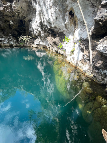 DIVE INTO THE JUNGLE WITH OUR E-BiKE TOUR A 300 FOOTER CENOTE