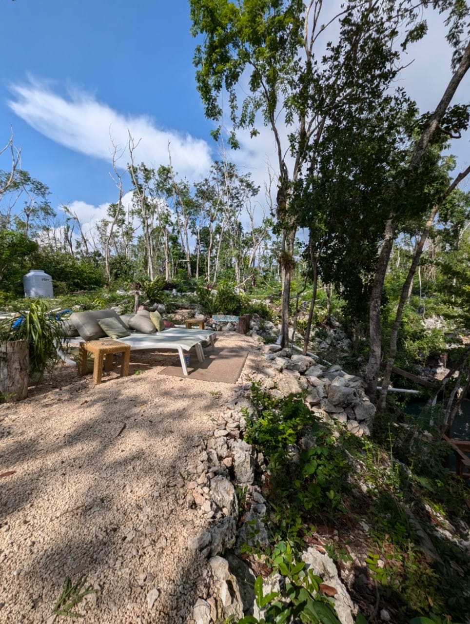 DIVE INTO THE JUNGLE WITH OUR E-BiKE TOUR A 300 FOOTER CENOTE