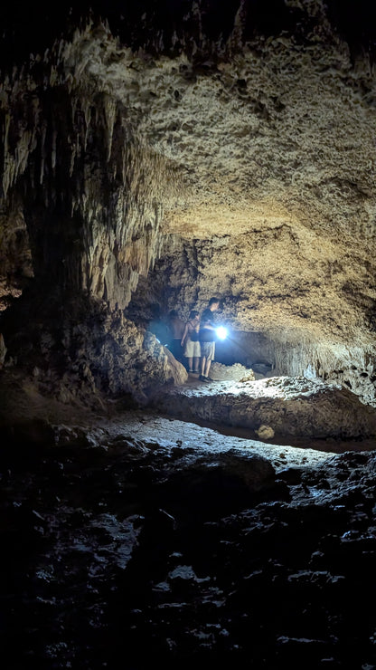 E-BIKE TOUR THROUGH THE MAYAN JUNGLE, CAVERNS AND CENOTES  (STARTING OFF DOWNTOWN PLAYA DEL CARMEN)