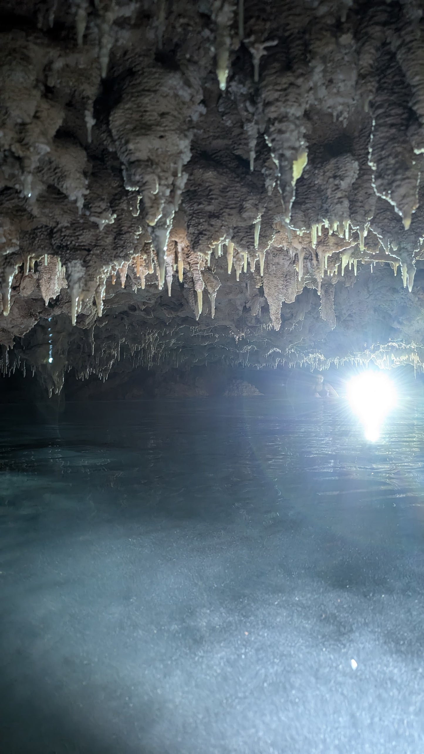 E-BIKE TOUR THROUGH THE MAYAN JUNGLE, CAVERNS AND CENOTES  (STARTING OFF DOWNTOWN PLAYA DEL CARMEN)