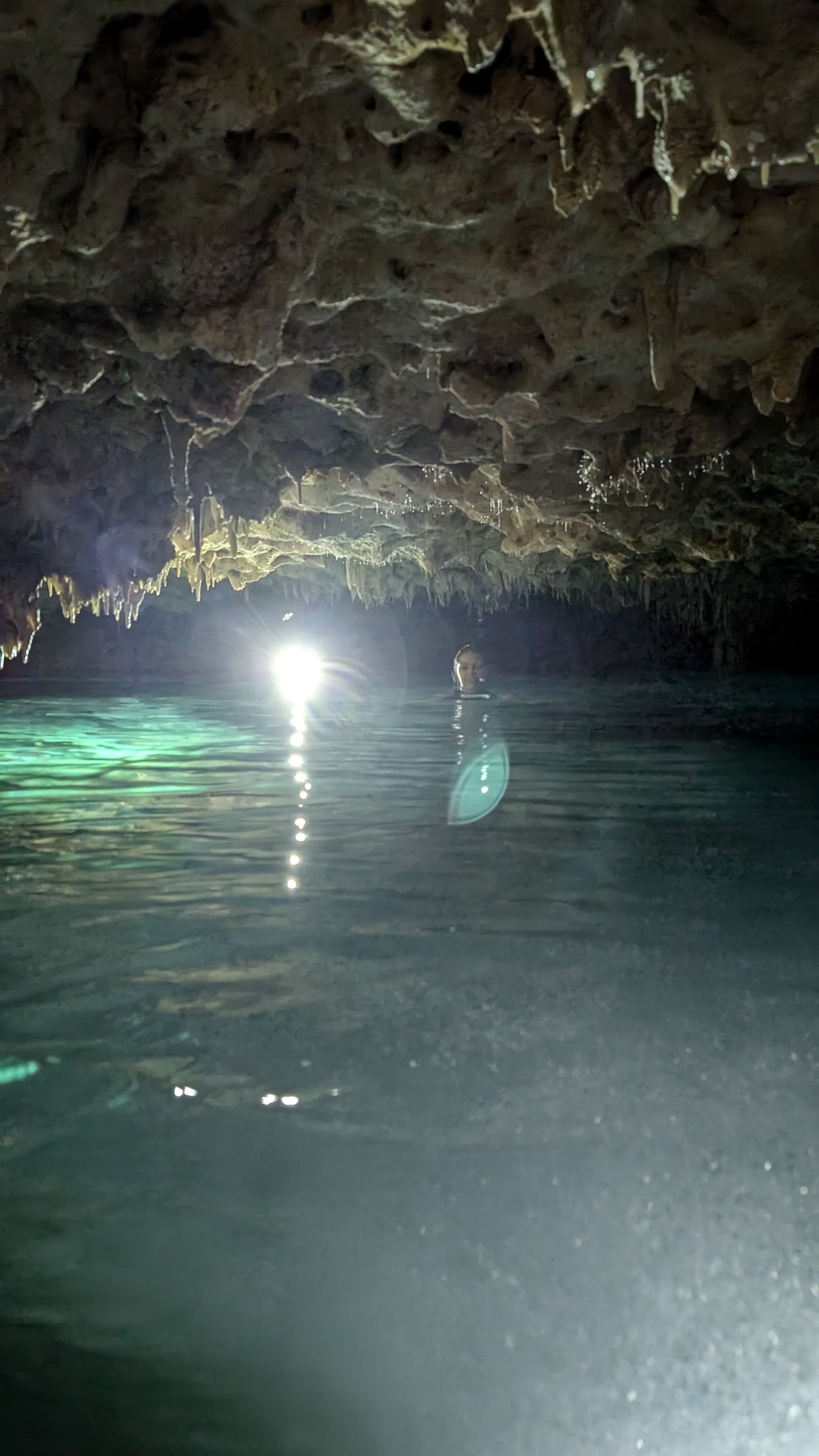 E-BIKE TOUR THROUGH THE MAYAN JUNGLE, CAVERNS AND CENOTES  (STARTING OFF DOWNTOWN PLAYA DEL CARMEN)