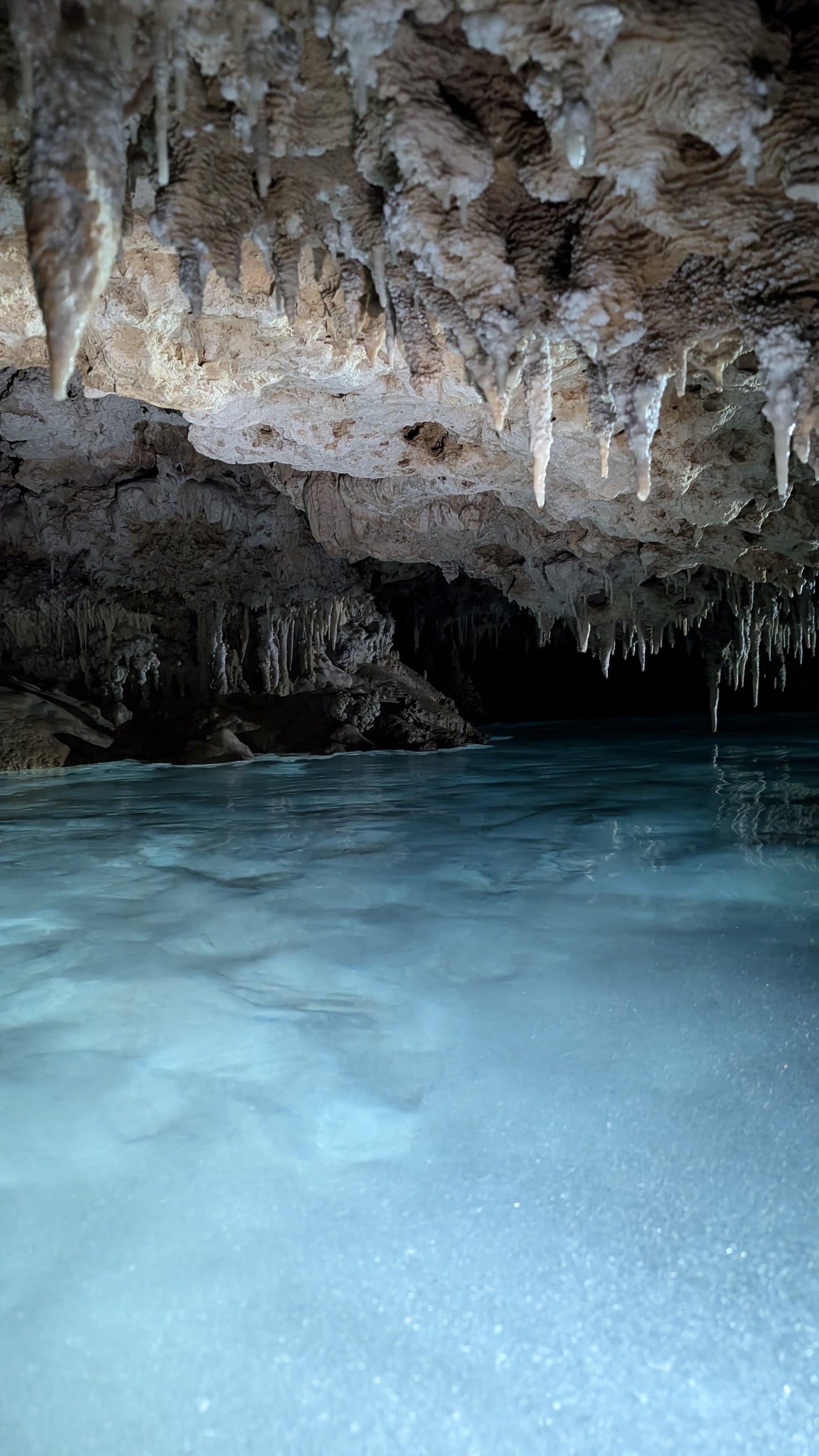 E-BIKE TOUR THROUGH THE MAYAN JUNGLE, CAVERNS AND CENOTES  (STARTING OFF DOWNTOWN PLAYA DEL CARMEN)