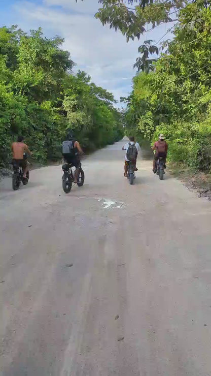 DIVE INTO THE JUNGLE WITH OUR E-BiKE TOUR A 300 FOOTER CENOTE