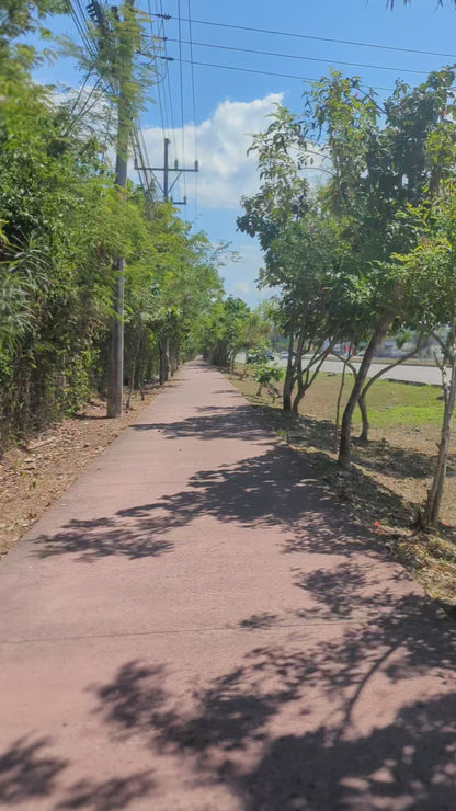 E-BIKE TOUR TO HIDDEN CENOTE  (STARTING OFF DOWNTOWN PLAYA DEL CARMEN)